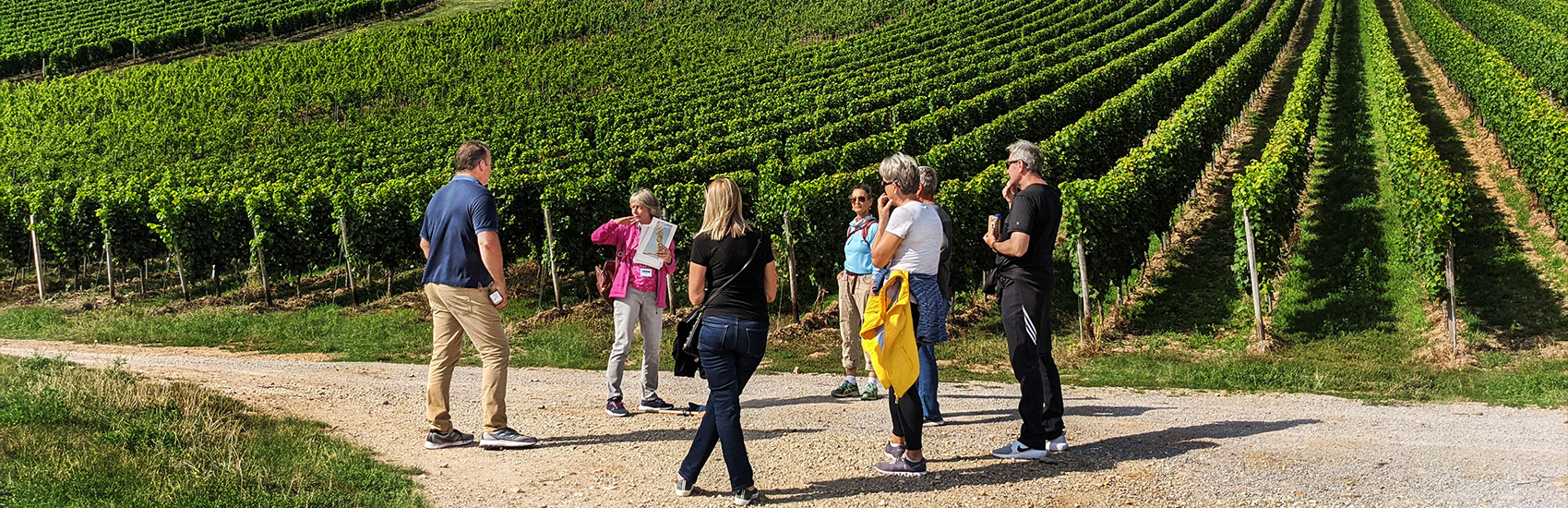 AmaWaterways’ Specialty River Cruises 4