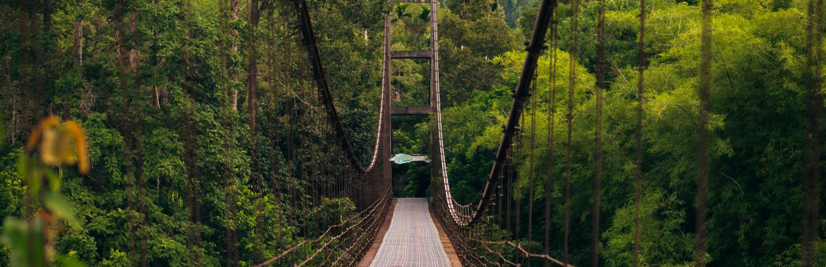 Discover Thailand’s Green Revolution: Travel, Explore, and Leave a Positive Impact 1